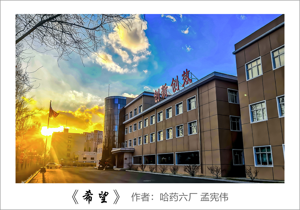 【迎国庆 展风采】我眼中的尊龙凯时&mdash;&mdash;职工摄影大赛作品展示！