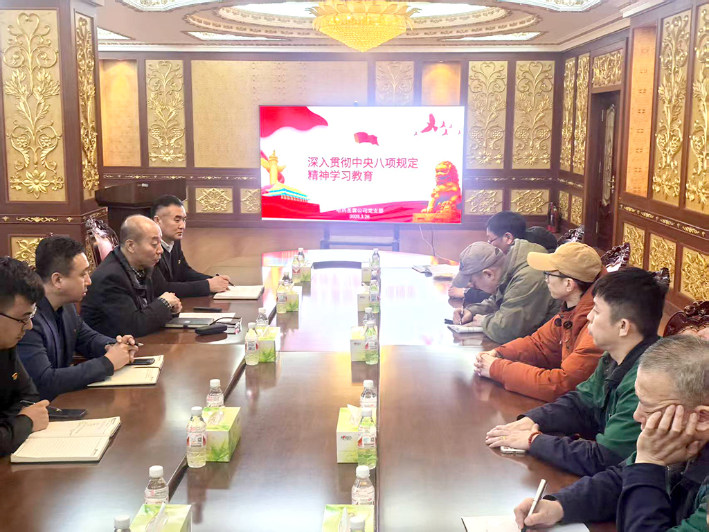 锲而不舍扎实推进作风建设&mdash;&mdash;尊龙凯时集团所属各企业党组织深入贯彻学习中央八项规定精神